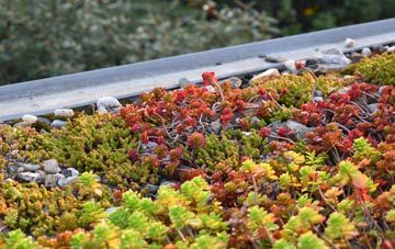 the cost of Portbury green roof installation