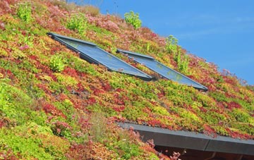 Portbury living roof systems