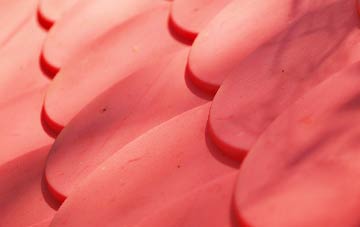 Portbury plastic roof costs